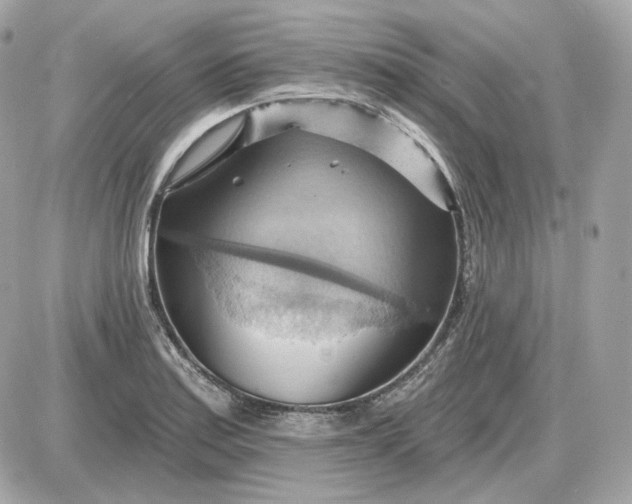 X0000087551179200705112114