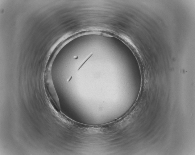 X0000087551181200705112114