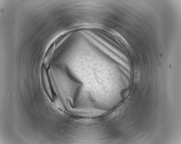 X0000087551182200705112114