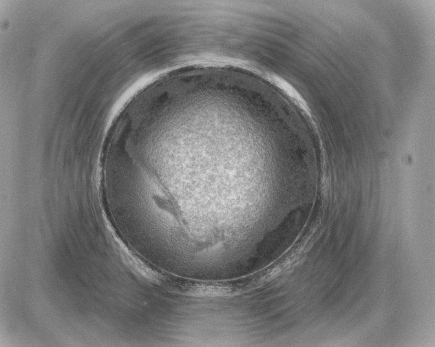 X0000087551183200705112114