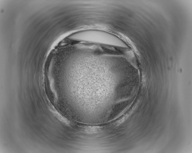 X0000087551184200705112114