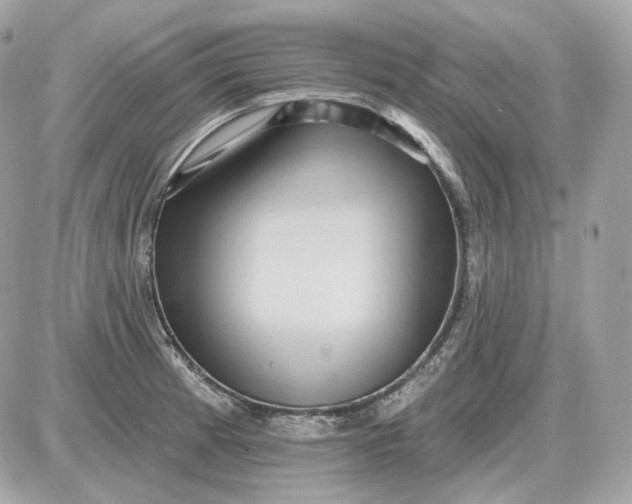 X0000087551185200705112114