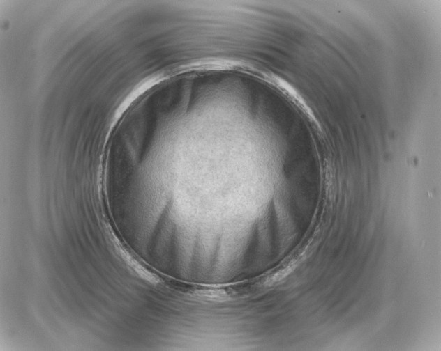 X0000087551186200705112114