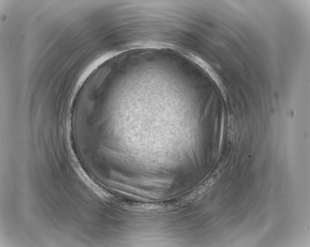 X0000087551187200705112114