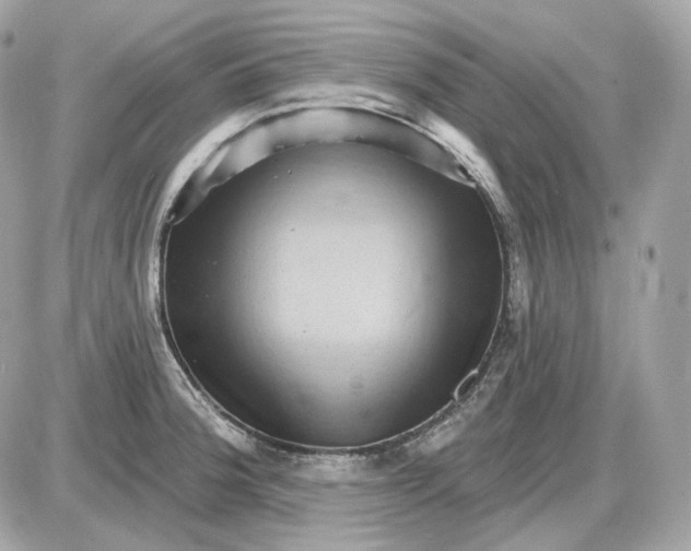 X0000087551188200705112114