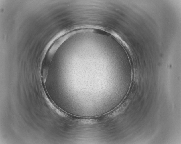 X0000087551189200705112114