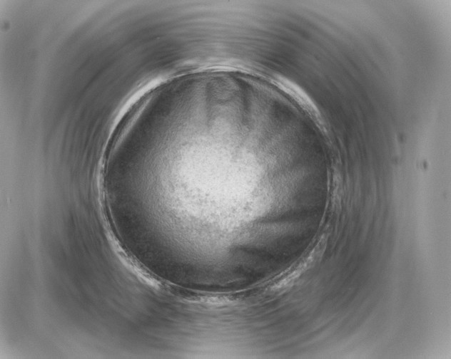 X0000087551190200705112114