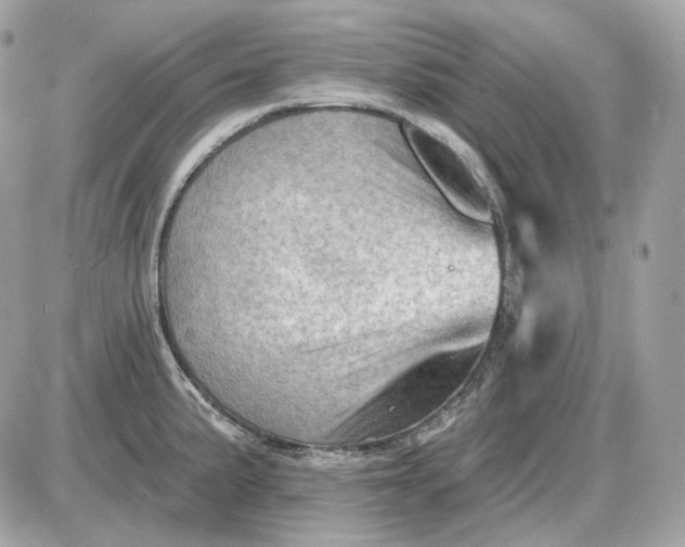 X0000087551191200705112114