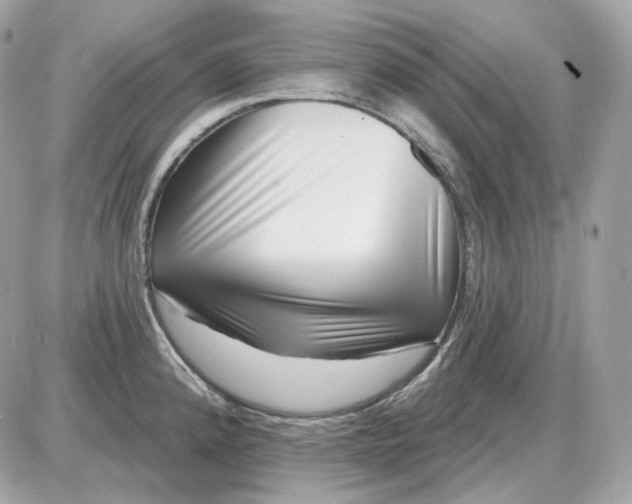 X0000087551192200705112114