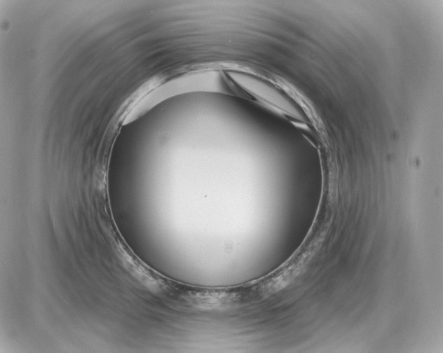 X0000087551193200705112113