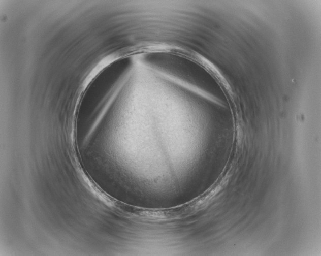 X0000087551194200705112113