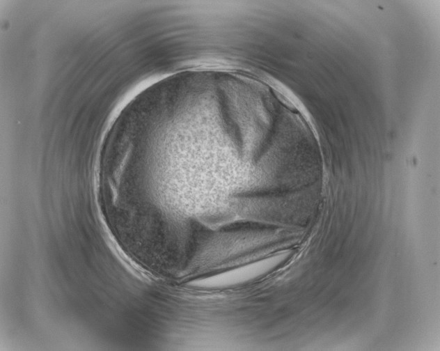 X0000087551195200705112113