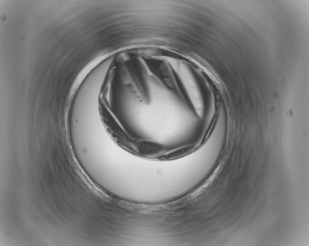 X0000087551196200705112113