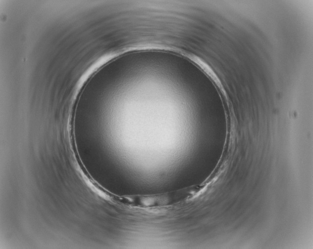 X0000087551197200705112113