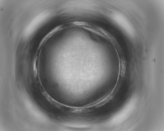 X0000087551198200705112113