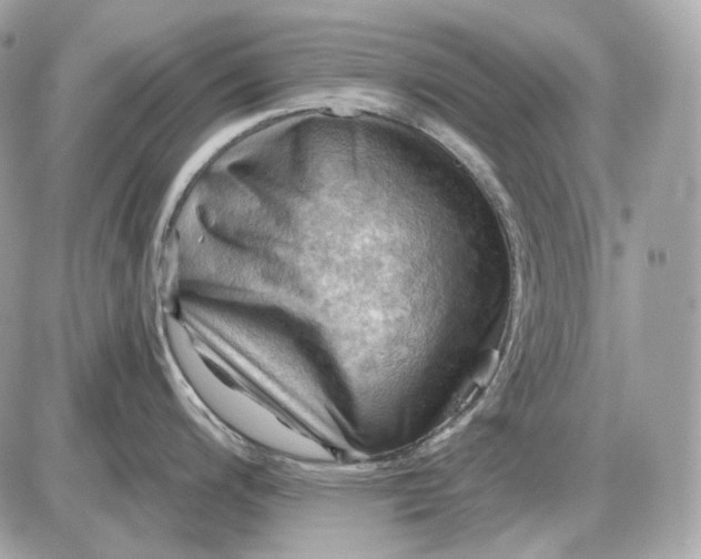 X0000087551200200705112113