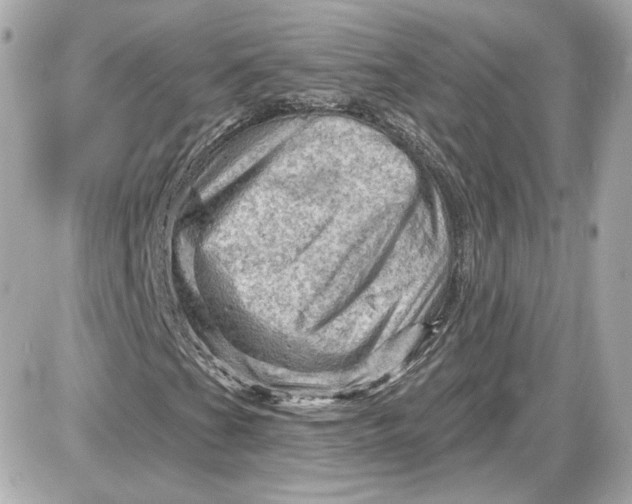 X0000087551201200705112113