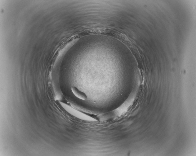 X0000087551202200705112113