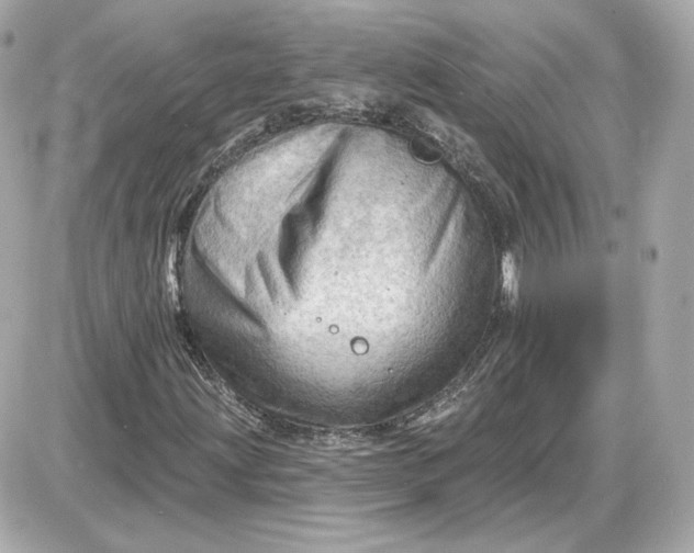 X0000087551203200705112113