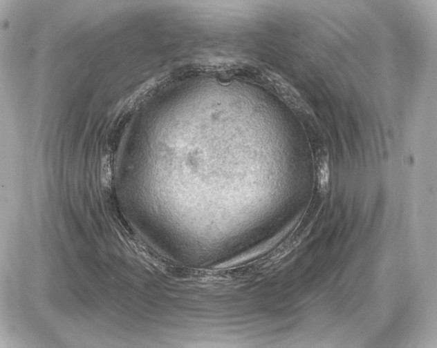 X0000087551204200705112113