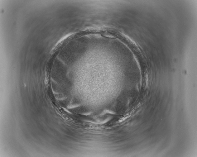 X0000087551206200705112113