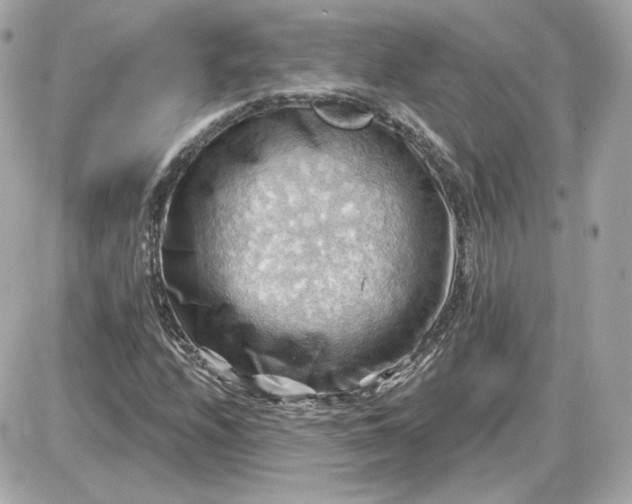 X0000087551208200705112113