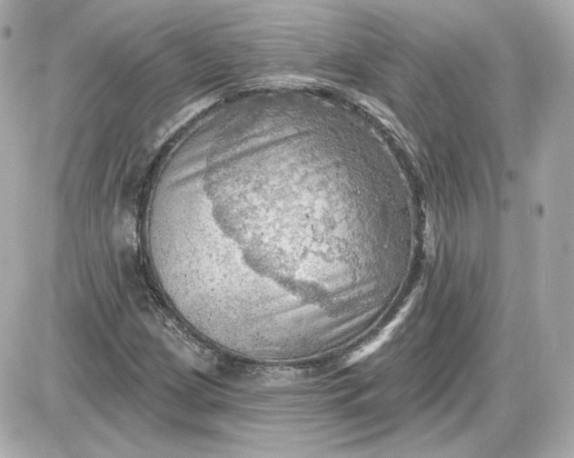 X0000087551209200705112113