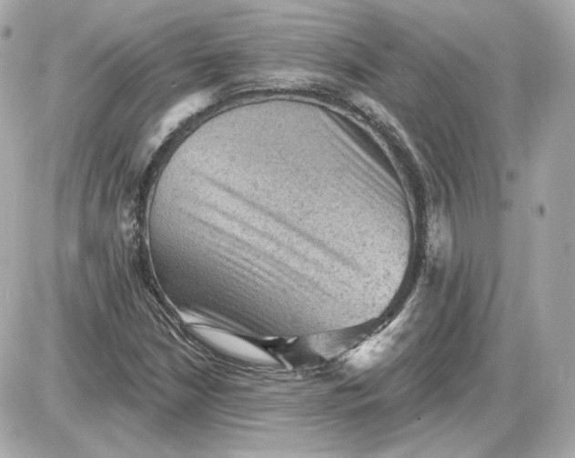 X0000087551210200705112113