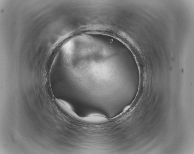 X0000087551213200705112113