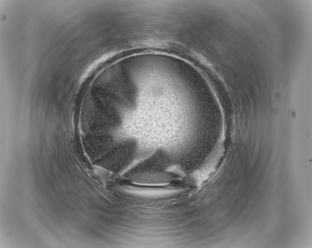 X0000087551214200705112113