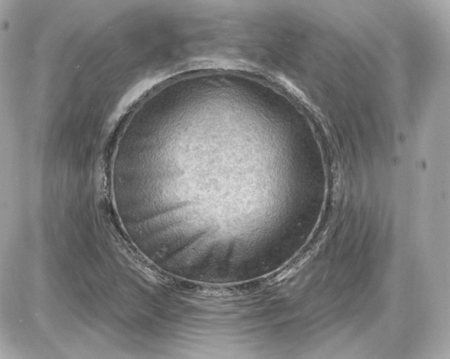 X0000087551215200705112113