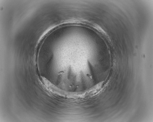 X0000087551216200705112113