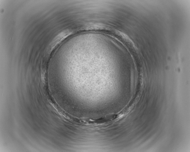 X0000087551217200705112113