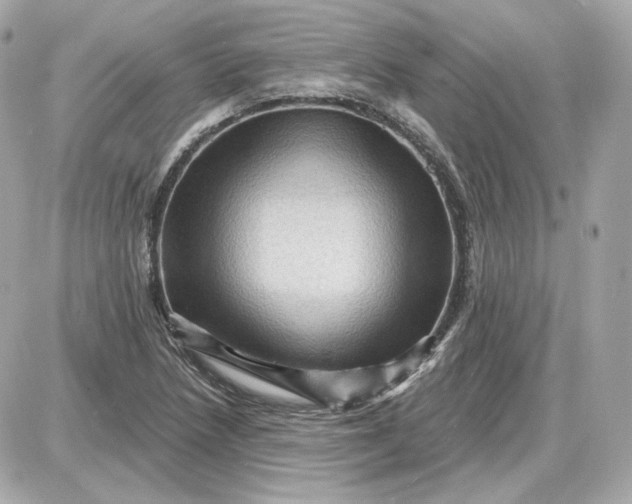 X0000087551218200705112113