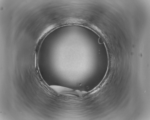 X0000087551219200705112113