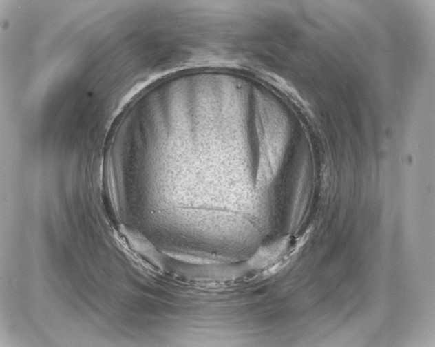 X0000087551220200705112113