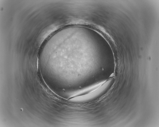 X0000087551221200705112113