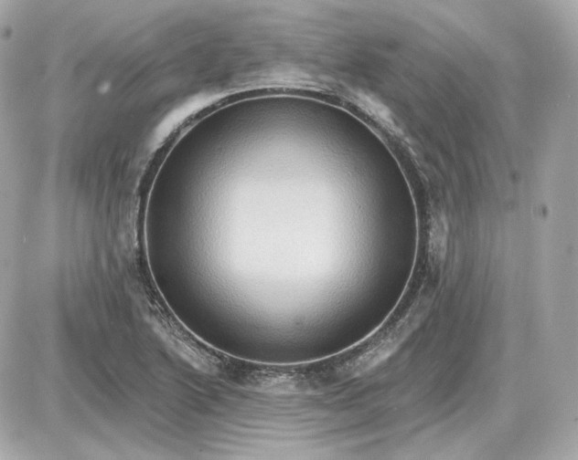 X0000087551222200705112113