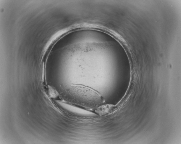 X0000087551223200705112113