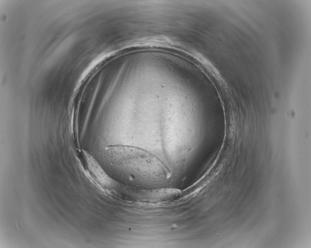 X0000087551224200705112113