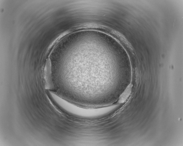 X0000087551225200705112113