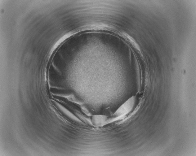 X0000087551226200705112113