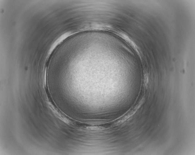 X0000087551227200705112113