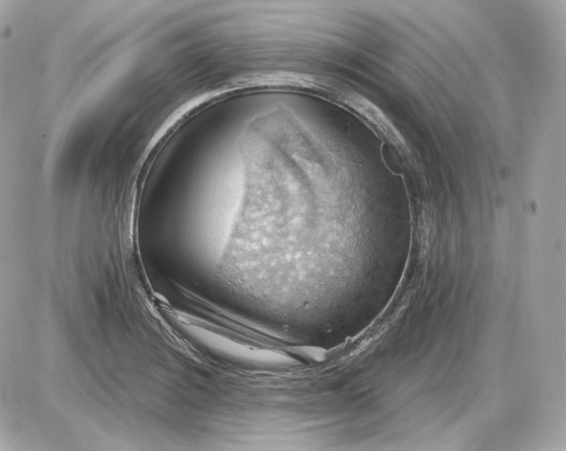 X0000087551228200705112113