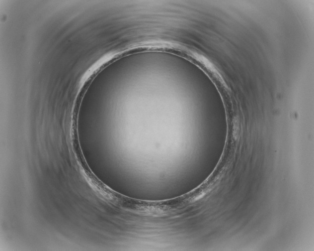 X0000087551229200705112113