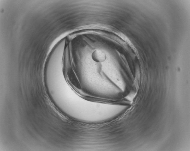 X0000087551230200705112113