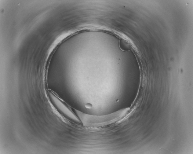 X0000087551231200705112113