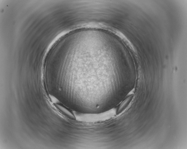 X0000087551232200705112113