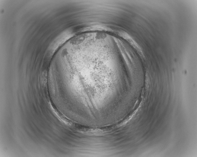 X0000087551233200705112113