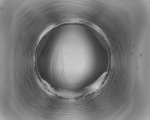 X0000087551234200705112113